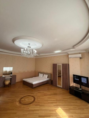 Apartment in center